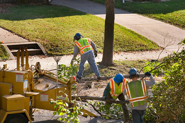 Best Weed Control  in Shreveport, LA